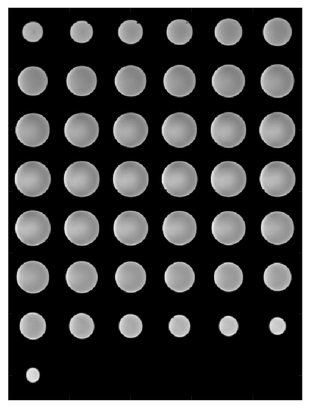 FUNSTAR EPI Volume