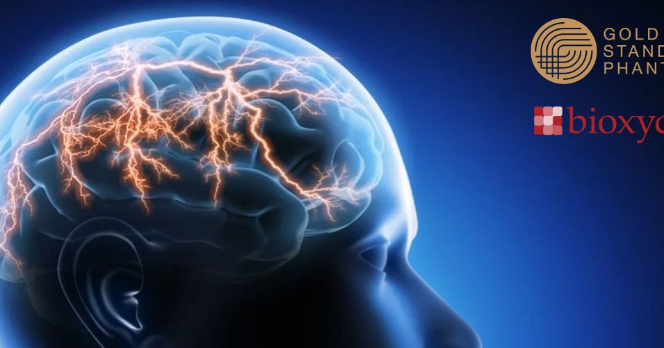 Professor Xavier Golay, appointed as Director of Quantitative Imaging.