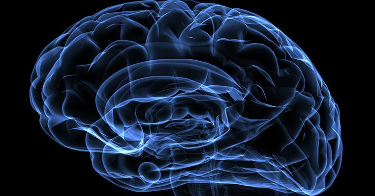 Gold Standard Phantoms Announces Strategic Partnership with NordicNeuroLab